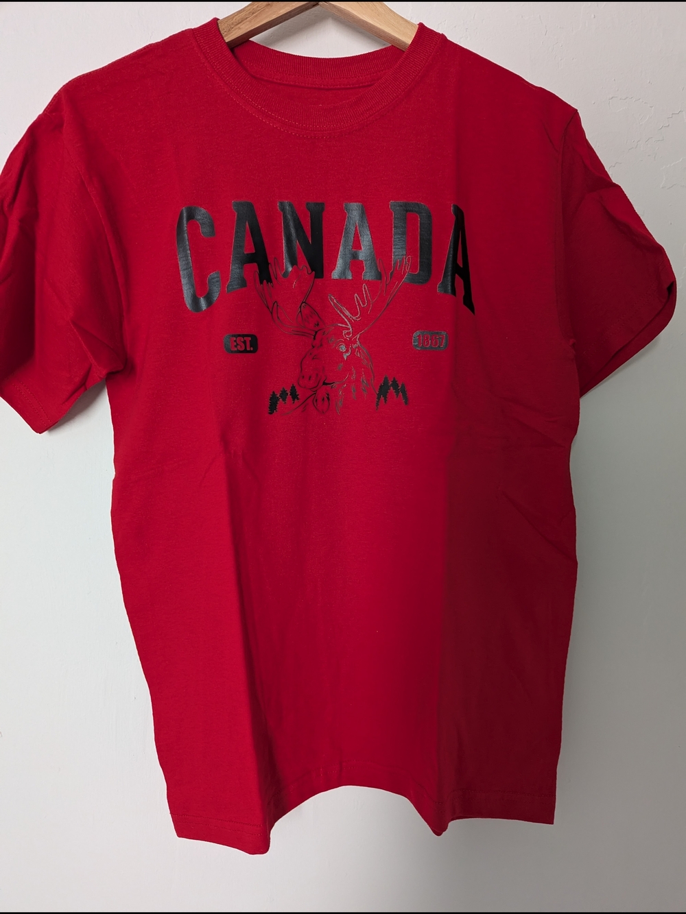 Canada Graphic Red Men's T-Shirt